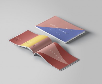 Diseño Gráfico Digital - Sabrina Fernández - 2020