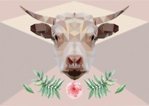 Diseño Gráfico - Gil Mónica - 2016
