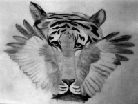 Tigre