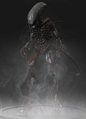 Escultura Digital con ZBrush - Navarro Federico - 2017