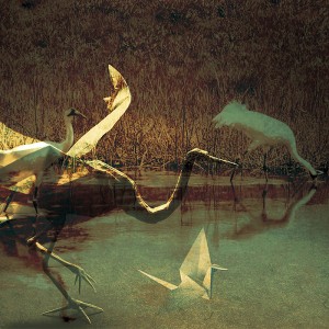 Composición - Ibarra Berardi