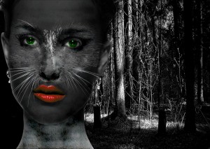 Fotomontaje - Elizabeth Ziloni - 2015