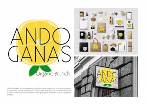 Presentación de marca - Andrea Alejandra Ortega Chávez - 2015