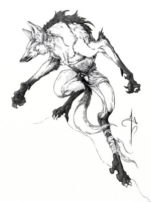 Anatomía Avanzada y Morfología Animal - Antón Martín - 2017