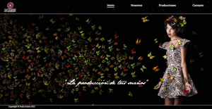 Mockup web - Paula Scalzo - 2015
