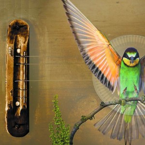 Composición - Ríos Sofía