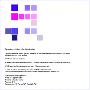 Composición - Falabella Tomás