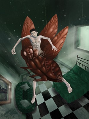 Ilu - COLOMBETTI EUGENIO - 2016