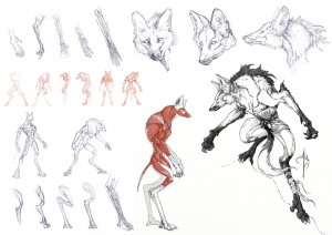 Anatomía Avanzada y Morfología Animal - Antón Martín - 2017