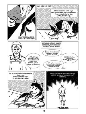 Comics: Realización Integral - José María Laura - 2017