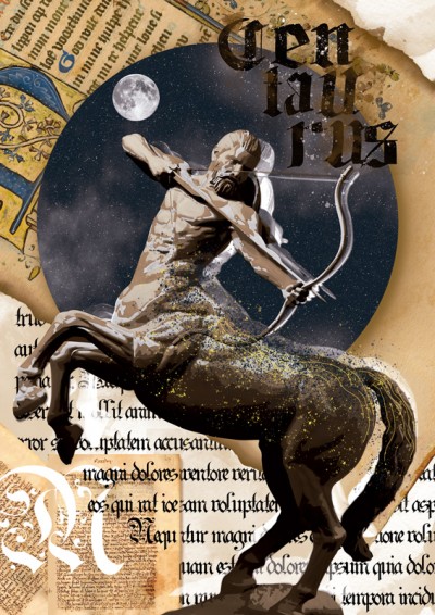 Morfología II - Priscila Rivero - 2019