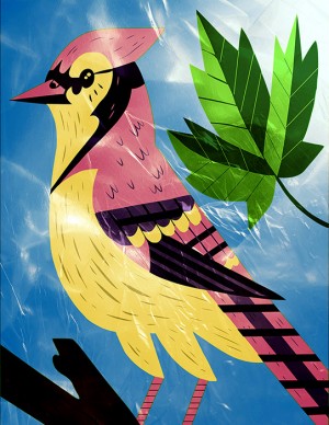 Ilustración vectorial - Gerardo Santi - 2015