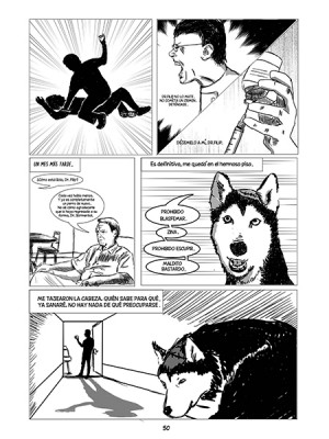 Comics: Realización Integral - José María Laura - 2017