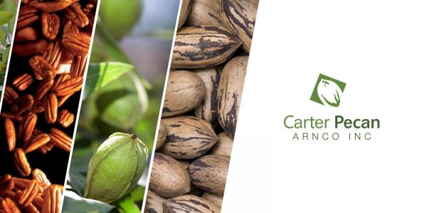 Carter Pecan lanza un concurso de Diseño Gráfico